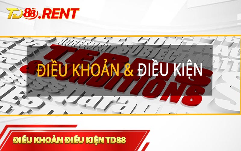 Điều khoản điều kiện TD88