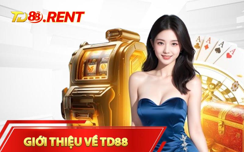 Các thông tin chung về nhà cái TD88