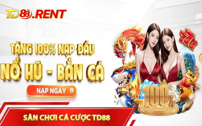 Sân chơi cá cược TD88