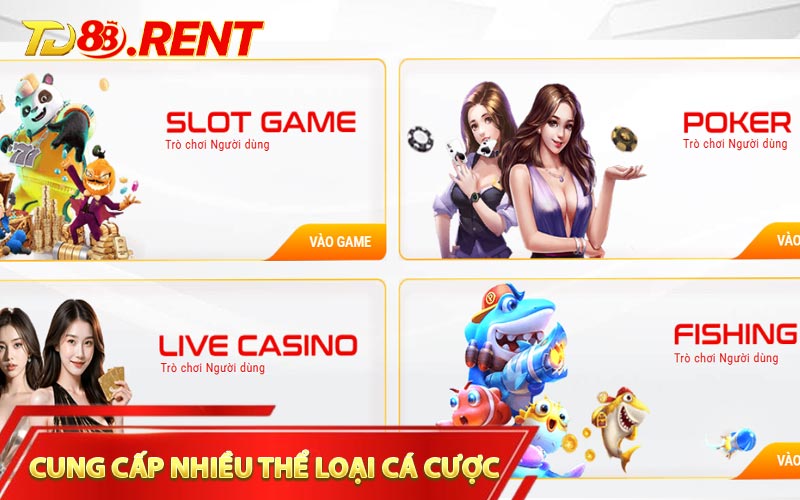 TD88 Cung cấp nhiều thể loại cá cược phong phú