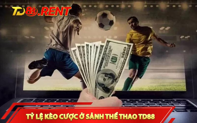 Đa dạng tỷ lệ kèo cược ở sảnh thể thao TD88