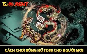 Cách Chơi Rồng Hổ Cho Người Mới - Hướng Dẫn Chuẩn Từng Bước