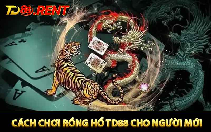 Cách Chơi Rồng Hổ Cho Người Mới - Hướng Dẫn Chuẩn Từng Bước