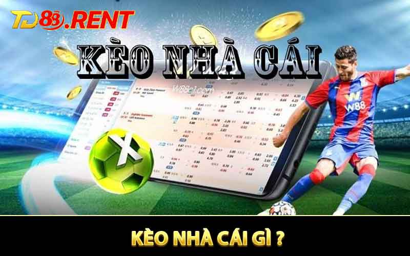 Tỷ Lệ Kèo Nhà Cái Là Gì?