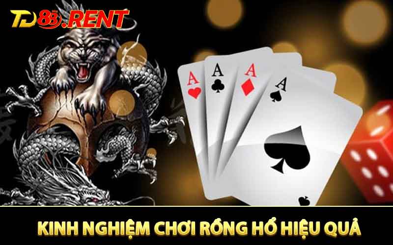 Kinh nghiệm chơi Rồng Hổ hiệu quả cho người mới