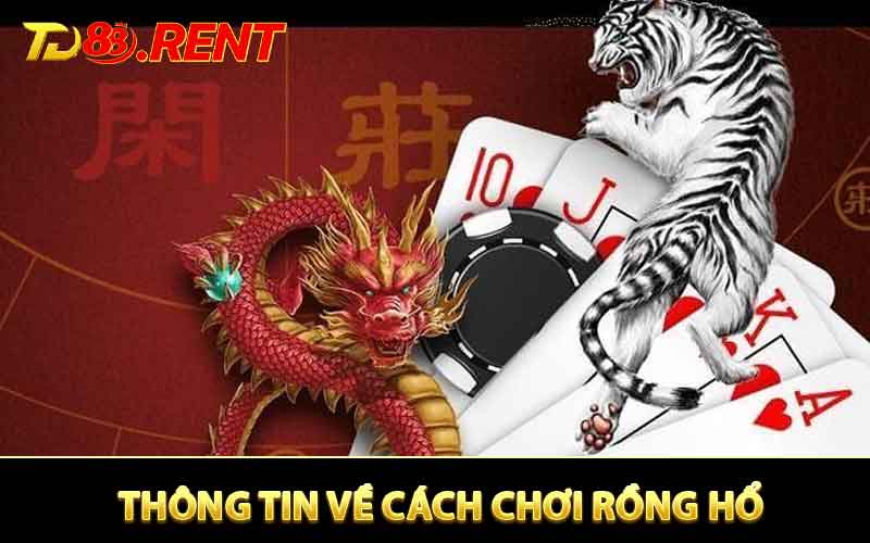 Tìm hiểu những thông tin về cách chơi rồng hổ